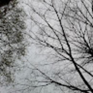 Meet your Posher, Hannah cofre